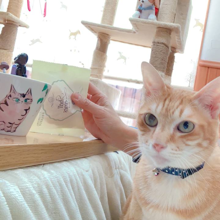 753338f0 d12d 4770 987b 602d99d4ef9f 1609214211975