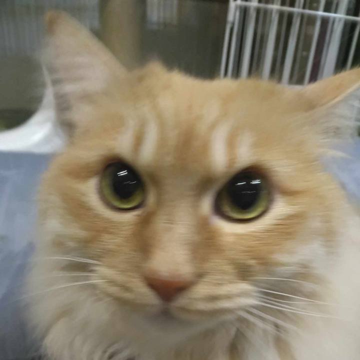 75337110 eeff 4aac b08b f9a86b73ce36 1710854411028