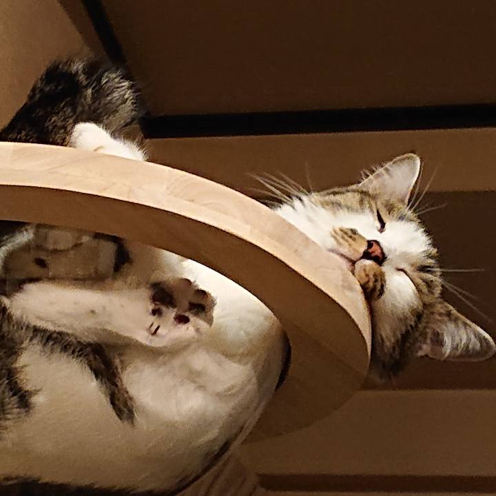 7533e5cd 1e98 45cd b108 ceda83d7783e 1660694982762