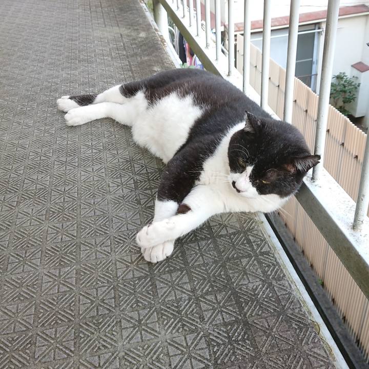 7533ea11 58e3 437f 95b8 96f231a02d75 1597881387533