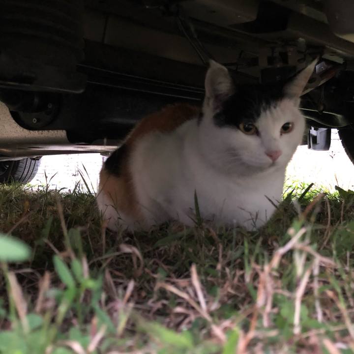 75344d33 e96b 4e16 8c29 c4e9ac572943 1604268891142