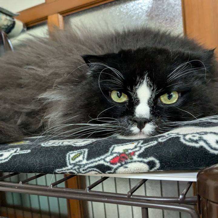 75345385 f7e9 42d9 8571 1073761a0d0d 1732448292283