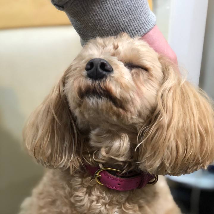 75345c92 0279 4f5f 92f6 0556f658181b 1610120143890