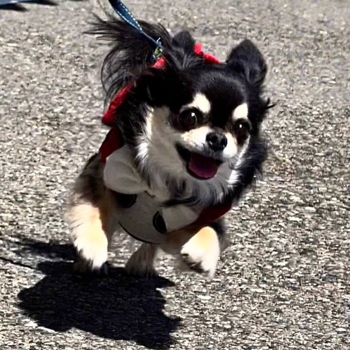 753464c7 86a3 46b7 b637 28e0336b313a 1682135205834