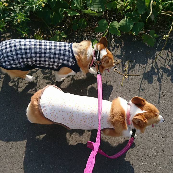 7534d454 dda9 4a96 95d9 def6a7f1d833 1533078772490