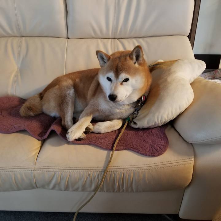 7534e0b6 23e9 44c9 b938 1dd6f1b3fe83 1618614982188