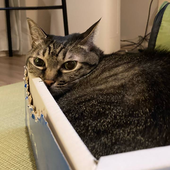 7534e48a 03dd 4102 b6a7 e9bbac1b24ad 1665719117307