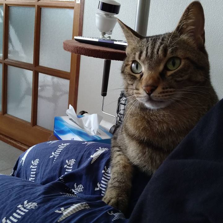 7534e803 762b 48ea a646 81302071af3d 1656042006869