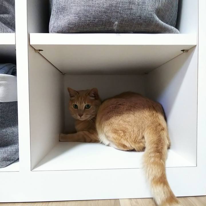 7535104f 8e1d 4978 975f a5ca616054f2 1654314224026