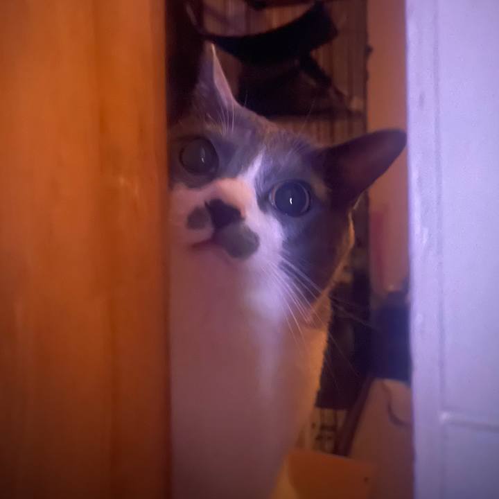 75355307 88ef 404a a0ef 16f6be6c3db4 1623740386829