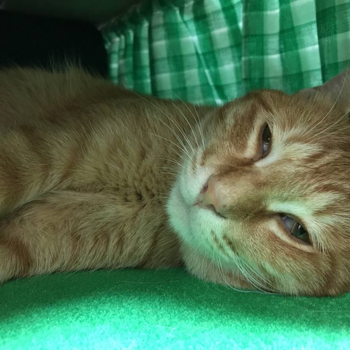 75356866 510a 407d 9b1e 1e1ae6c5ade5 1508251338146