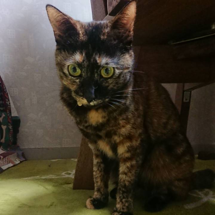 75358f0d 5042 4ac1 8417 7de2a91a345e 1518692924765