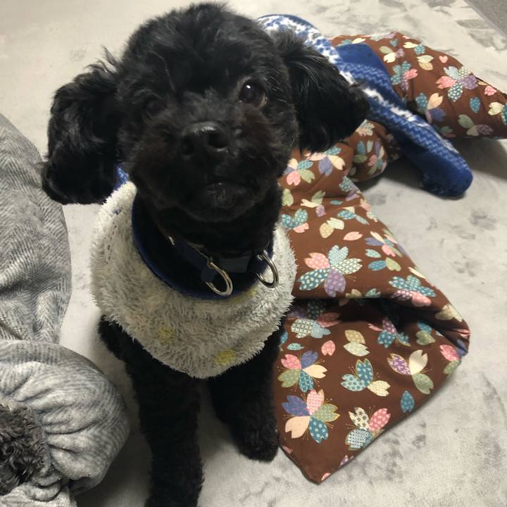 75359b5c e779 4b4a 9554 fc77eac82893 1603542831998