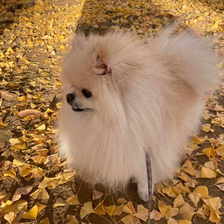 7535a610 f522 4d17 9892 b6e3f7d76a10 1733552886826