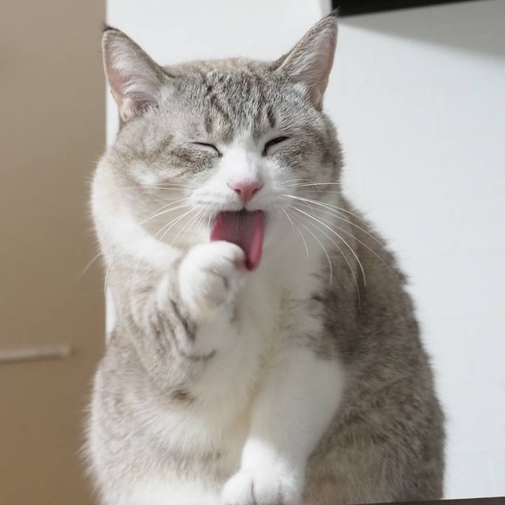 7535e799 f404 4de2 ab6e 3158688b3799 1610544399028