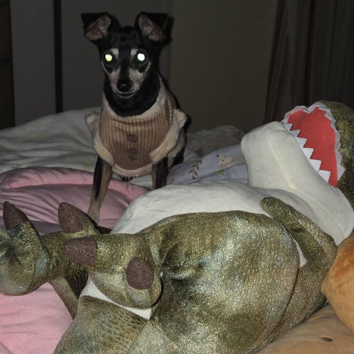 7535f74c a2db 40b6 b286 492c50921c90 1771145319710