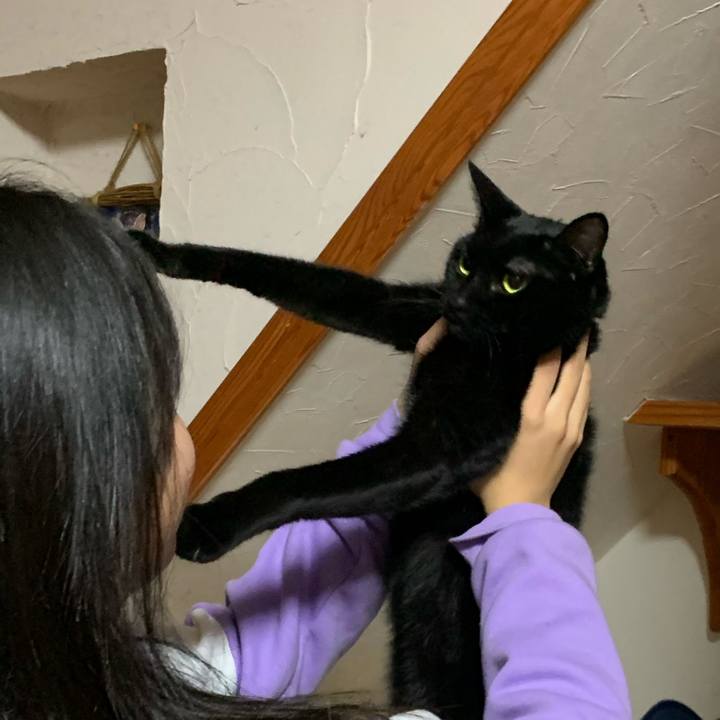 75360e0d 3271 4341 b9f6 8ebb6d24fbaa 1638881244580