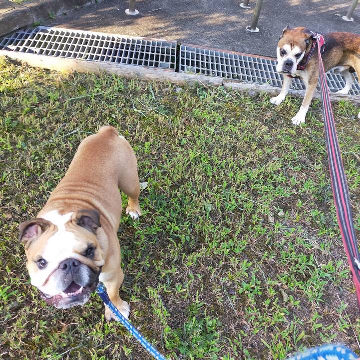 75362188 49d3 4aa4 a40b aa84cabac170 1660025918006