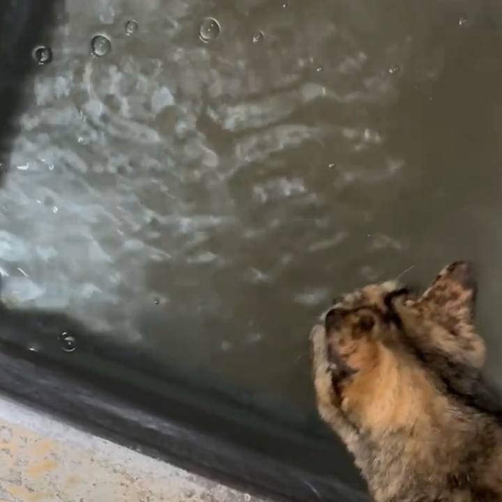 753649a6 0497 452b bdeb 0259873a805e 1774124492764