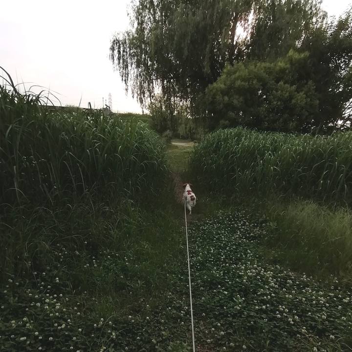 75369326 2b94 41ee be09 81fb34ed9dcc 1591269402896