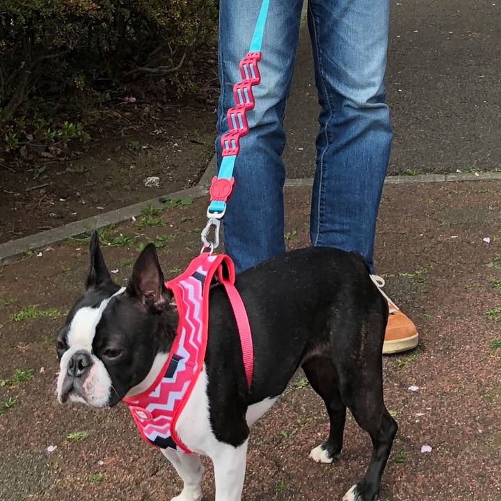 7536d941 7c11 442f 96b2 a98490cd8dac 1524044612569