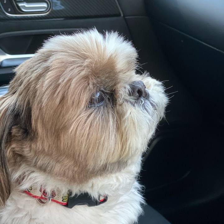 7537182d 4519 43f8 994a d15025f647b7 1618045644070