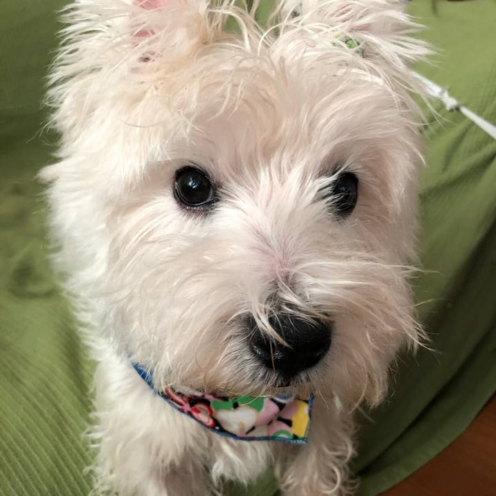 75377e27 2cad 4e4c a78f 6b993443d4b0 1538974103534