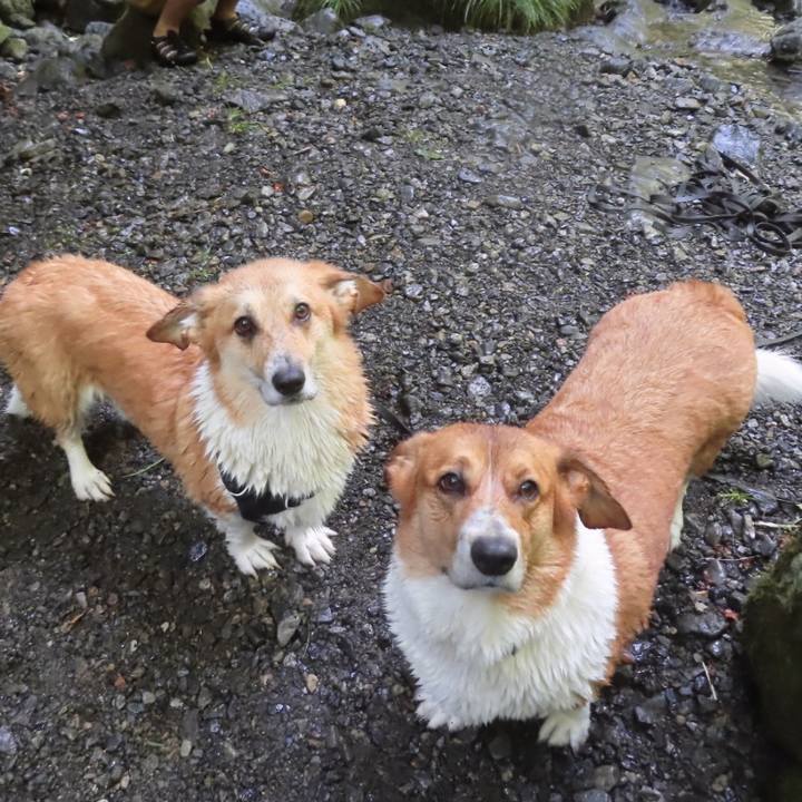 7537a346 c2f9 49f0 a494 46c890d71119 1691370929630