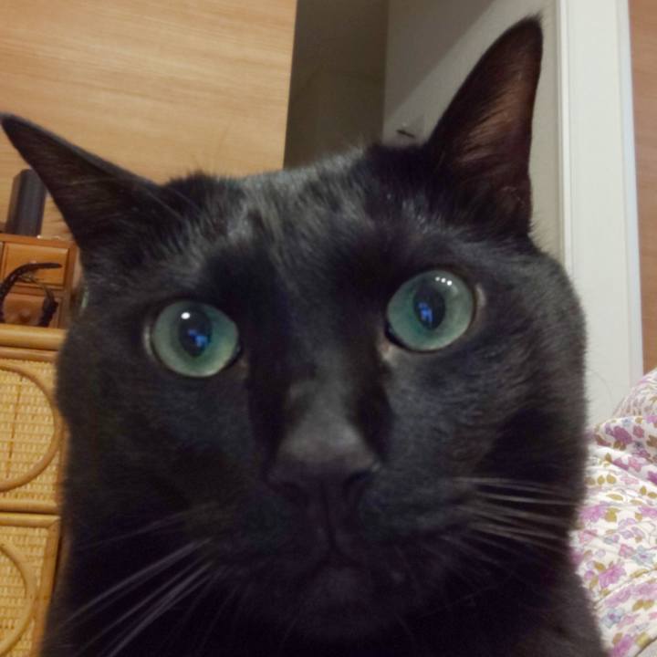 7537a6fb 258f 43ee 9125 9cb3982f663c 1678807013086