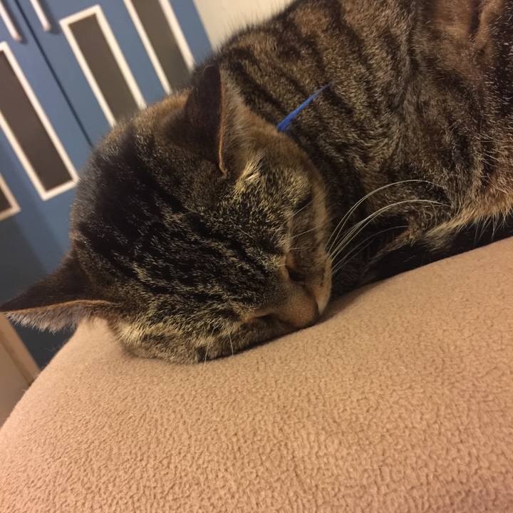 7537a7f9 1d72 4d09 9db9 43e50e0f2b05 1555860083053