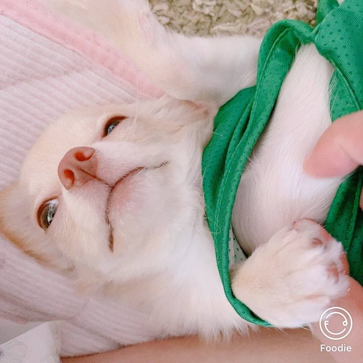 7537b136 501b 460e b162 938da4423402 1599448193620