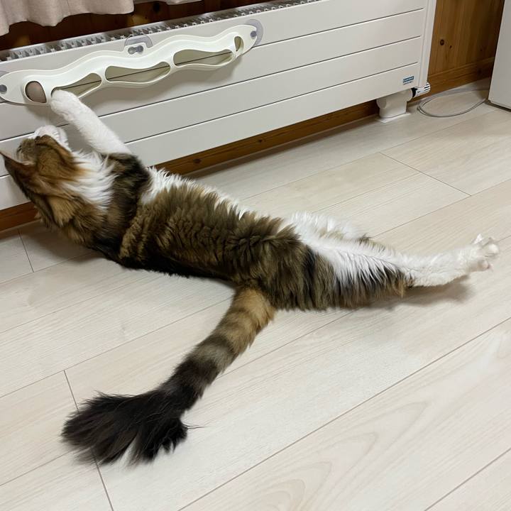 75381148 1de3 4611 9a99 74384f7d19a7 1666697228135