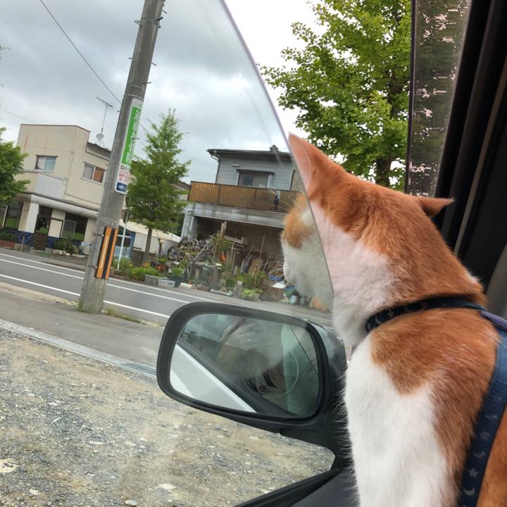 753856f4 3b45 4ab0 bf44 f154f4824b4b 1562500899273