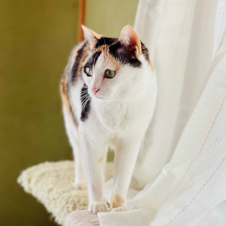 753887d3 9028 4029 a8c7 64347cbca7af 1618966707423