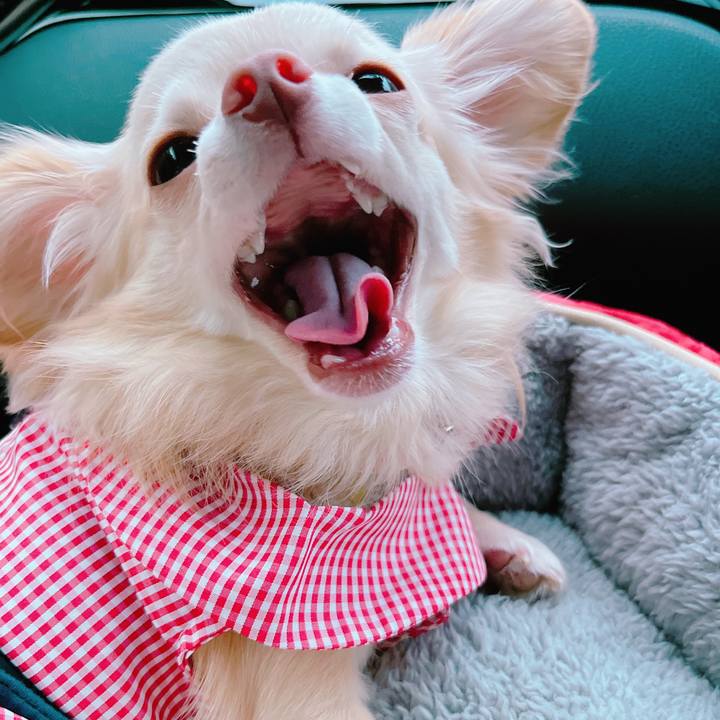 75388b36 61a3 4e12 8078 b5001f207a0a 1662299052232