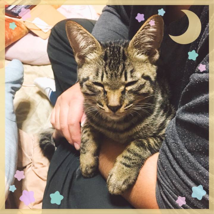 7538932e d676 4b8a 9fc5 9cfd57b056a9 1540860169177