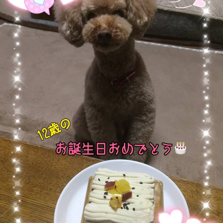 7538bb70 dd38 4118 8574 7fe5f88ad351 1522408111764