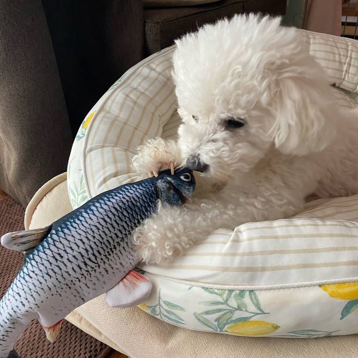 7538c741 cde5 4925 a1db 37f6c21fa00b 1694323748453