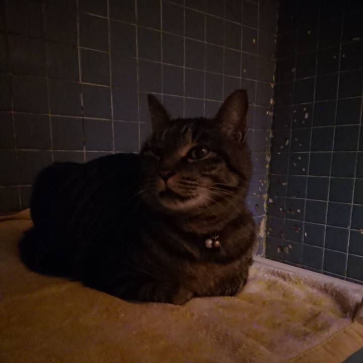 7538cd28 3f9b 43bd b4a4 c81c8175bf54 1653652437603