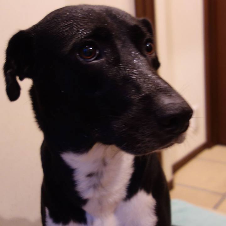 7538faaf fd14 4b7e a3ec 99920ed2fc60 1594807453914