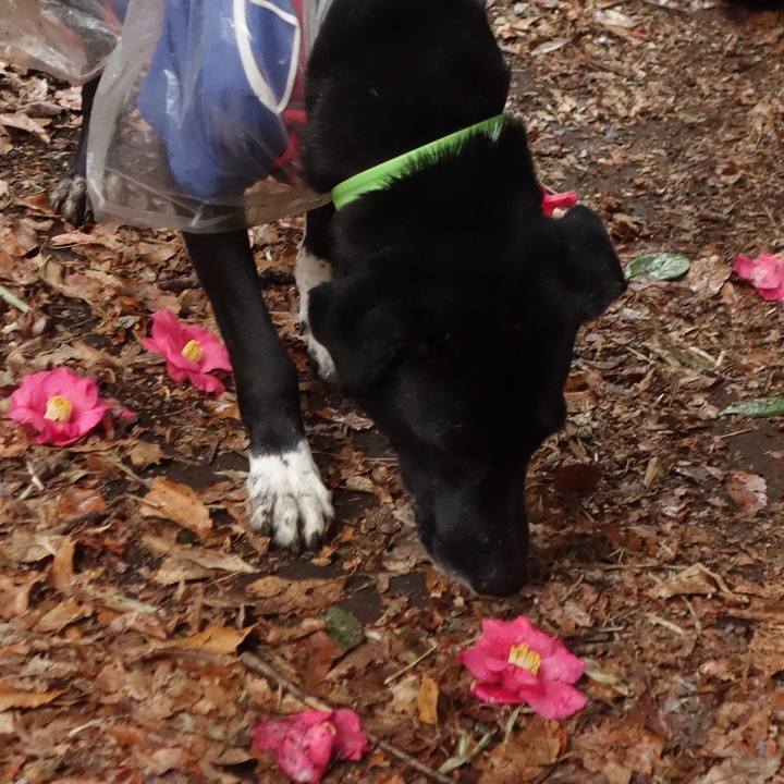 7539314d 53fc 4099 b5dc 1f3eb2628c63 1615161001207