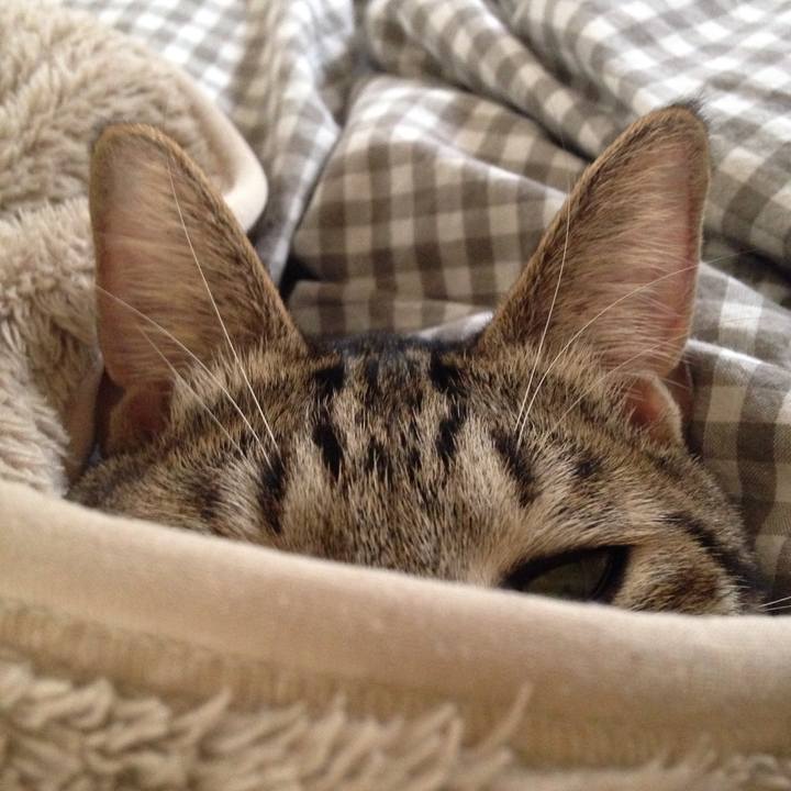 75399352 87c5 4f8e 9c54 ee12b1bc2c54 1510383426494