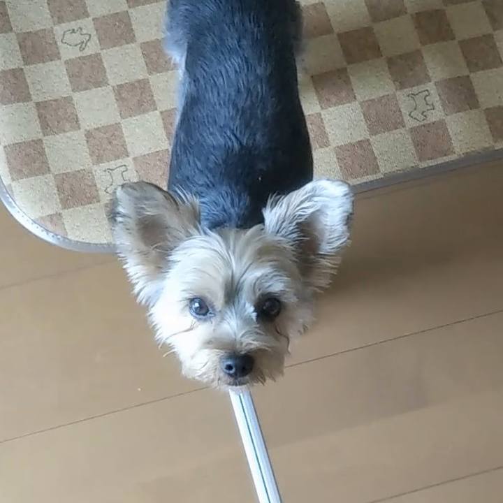 7539c56e 94de 47b6 ad3b 994ed91e2b36 1559788978438