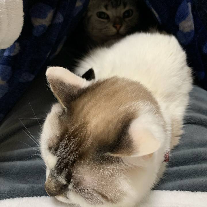 7539f234 b89f 403c a17a e0bf86248d14 1580994809308