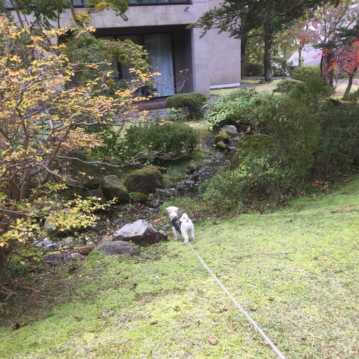 7539fd36 2aa8 4f6a a7d6 81d56ec83033 1509537034485