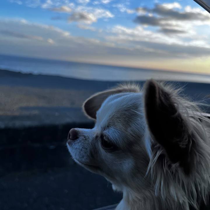 753a69da 3c12 4891 aec8 f1b37cc7981c 1672980247844