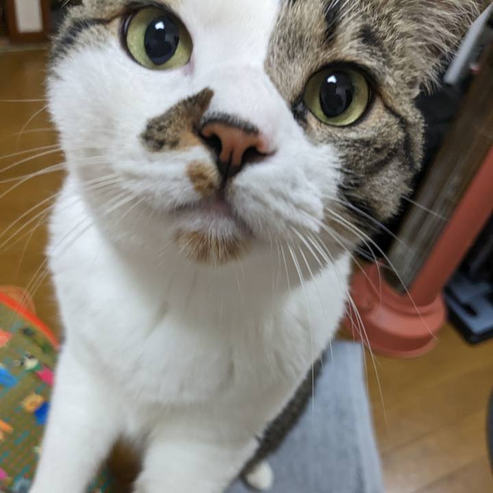 753acb00 f921 444e 9522 24fb7127b052 1684670447950