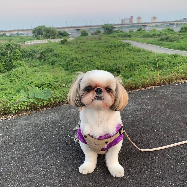 753b4b0e 711e 4fe3 bca6 c2009129dfe2 1623319210289