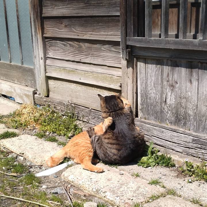 753b5100 a5b1 426d b7bd c64f804866cc 1711963147063