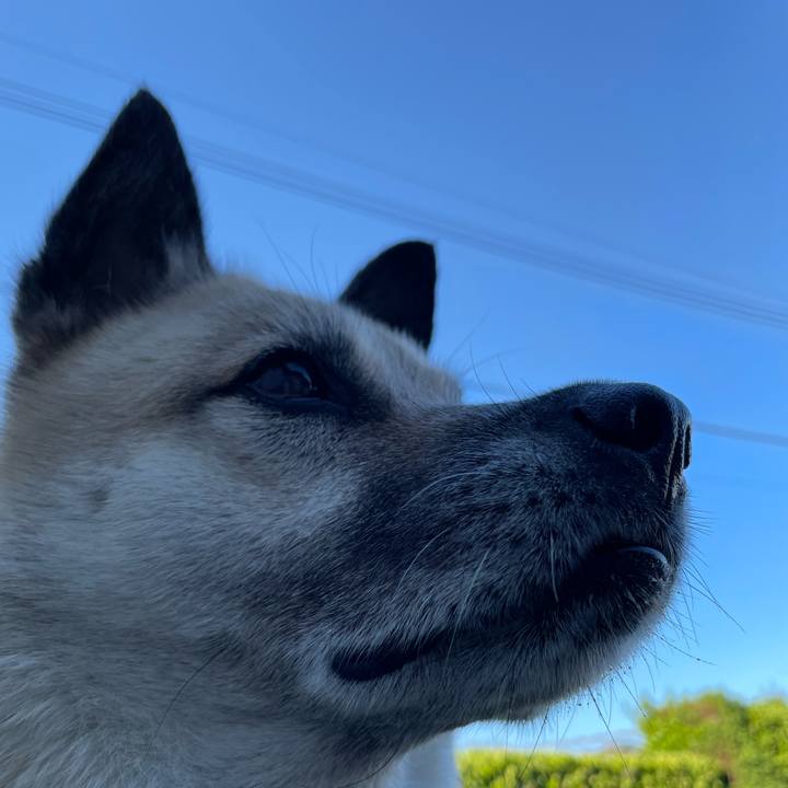 753b8154 f0c0 4f0a a99f c03b20e0794d 1720010685039